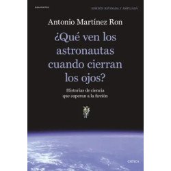 El metaverso