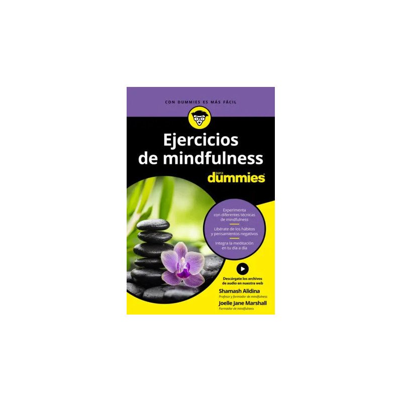 El Laberinto de los Espíritus