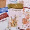 Calendario mesa de tarjetas 2026 La Vecina Rubia — Siesrosaybrillaloquiero — Planeta Gifts