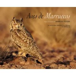 La interpretación de los sueños para Dummies