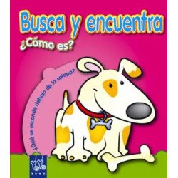 El chico del Maravillas