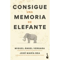 Ciudad sin estrellas