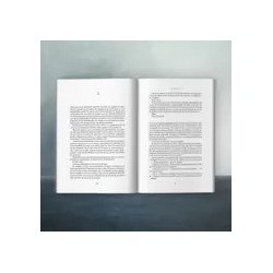 Castigo — Carme Chaparro — Espasa