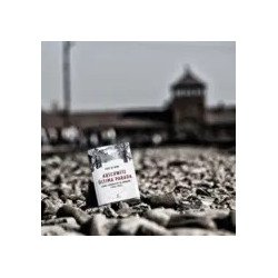 Auschwitz, última parada — Eddy de Wind — Espasa